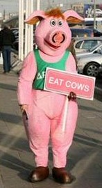 Funny Pig stories