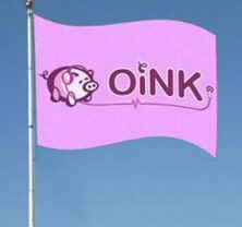 Swine flu pig flag