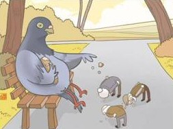 Pigeon's revenge
