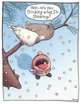 Pigeons revenge