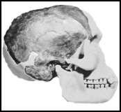 Piltdown Man Hoax