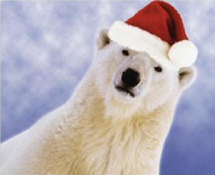 Polar Bear Christmas