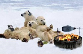 Polar bear barbeque