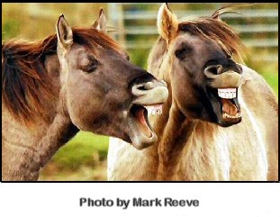 kunuharupa joke mp3 download kunuharupa joke mp3 download