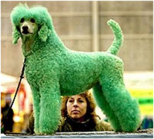 Green Poodle