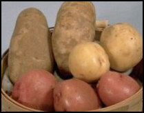potato festival story