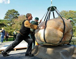 Pumpkin Record World Record 2010