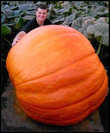 Strange but True Story of the 88 Stone Pumpkin