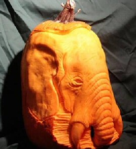 Elephant Pumpkin Carving