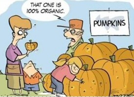 Pumpkin Patch Baby - Funny Picture