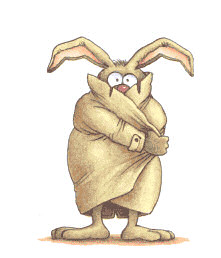 Funny Bunny in Coat