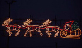 Reindeer at night