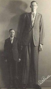 Robert Pershing Wadlow - Tallest man