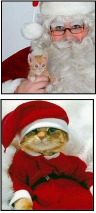 Santa Claws - Father Christmas with kitten