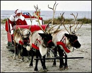 Santa Brown Reindeer