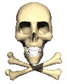 Joke Brian Boru Skull