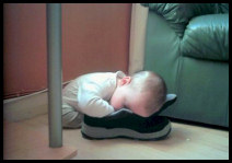 Funny Pictures of Sleeping - Funny Jokes