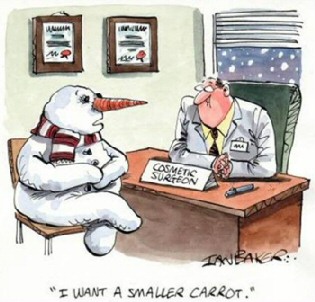 Snowman Carrot Nose Job