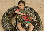 Snake boy Sambath