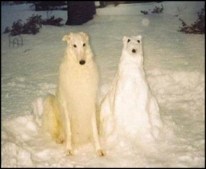 Snowdog Snowman-dog Dogman