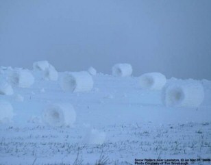 Snow Rollers