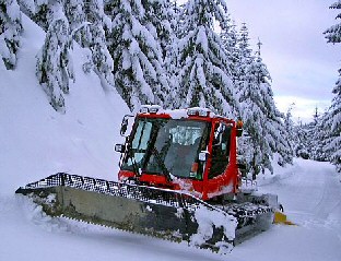 Snowmobile - Christmas cat?