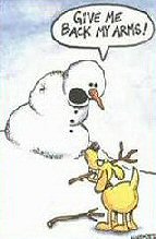 Funny Snowman Carrot Nose Pictures