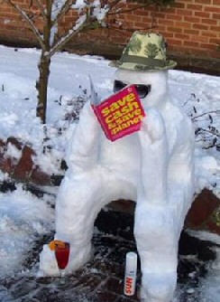 Snowman save planet