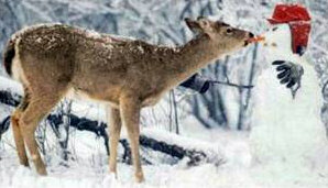 Idyllic Snowman with Deer