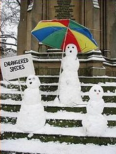 Snowman Endangered Species