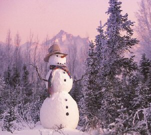 Snowman in the woods