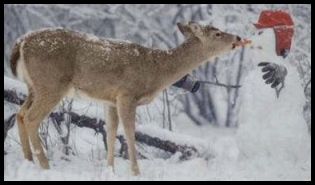 Snowman meets bambi