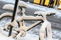 Woolly Bike