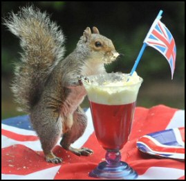 Squirrel Jubilee