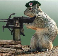Squirrel Sniper