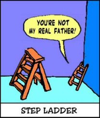 Funny Step-Ladder