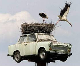 Stork nest on a car