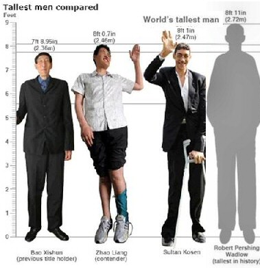 Comparisons of The World's Tallest Men