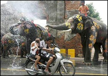 Thai New Year Elephant