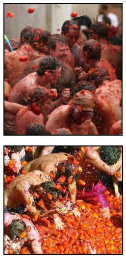 Tomatina Tomato Festival