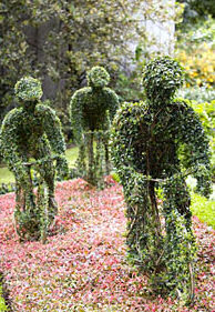 Tour de france topiary