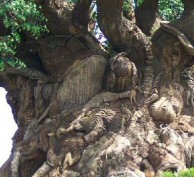 Children's Tree Stories