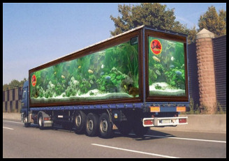 Will and Guy's amusing pictures - Truck Art
