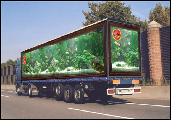 Pictures of Funny Truck Art Rollad | Petrol Shortage. - Funny Jokes Pictures of Funny Truck Art Rollad | Petrol Shortage. - Funny Jokes