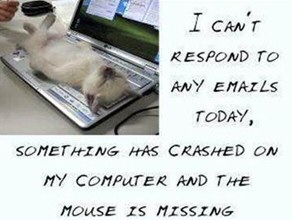 Windows 8 Jokes