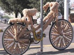 Woolly Bike