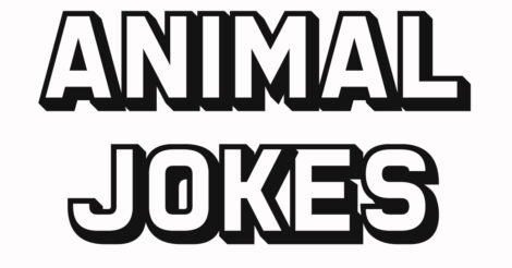 animal jokes