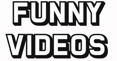 funny videos
