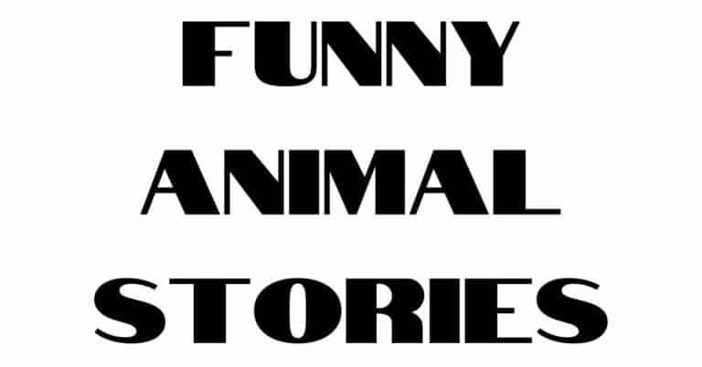 Funny Animal Stories