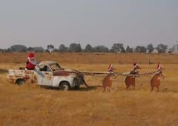 Christmas Kangaroos